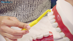 Suavinex SX PRO -2/2 m Birdies dudlík 2 ks - zelený