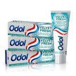Odol