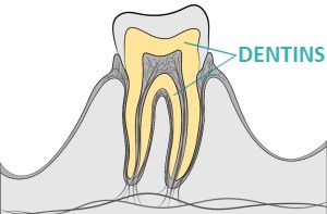 Akzenta Style Nitrile Emerald Green XS vyšetřovací rukavice 100 ks