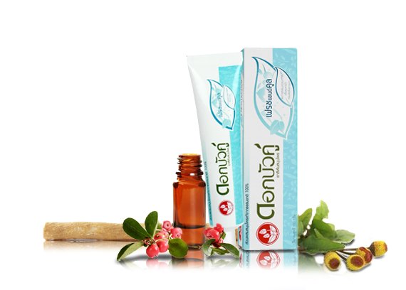 Twin Lotus Fresh&Cool zubní pasta 2x150 g