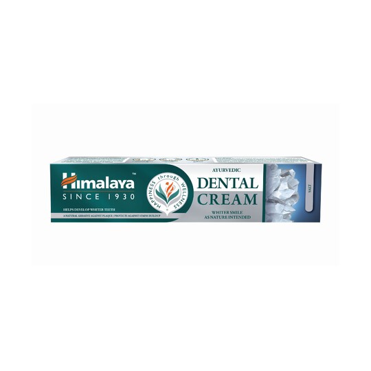 Himalaya Herbals Ayurvedic Dental Cream Salt zubní pasta 100 g