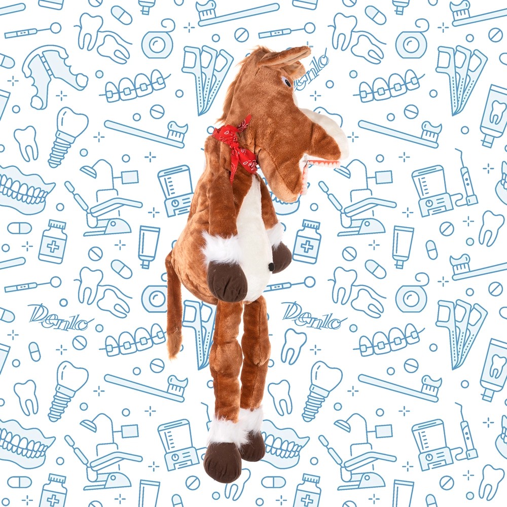 Edukativní maňásek - kůň s kartáčkem