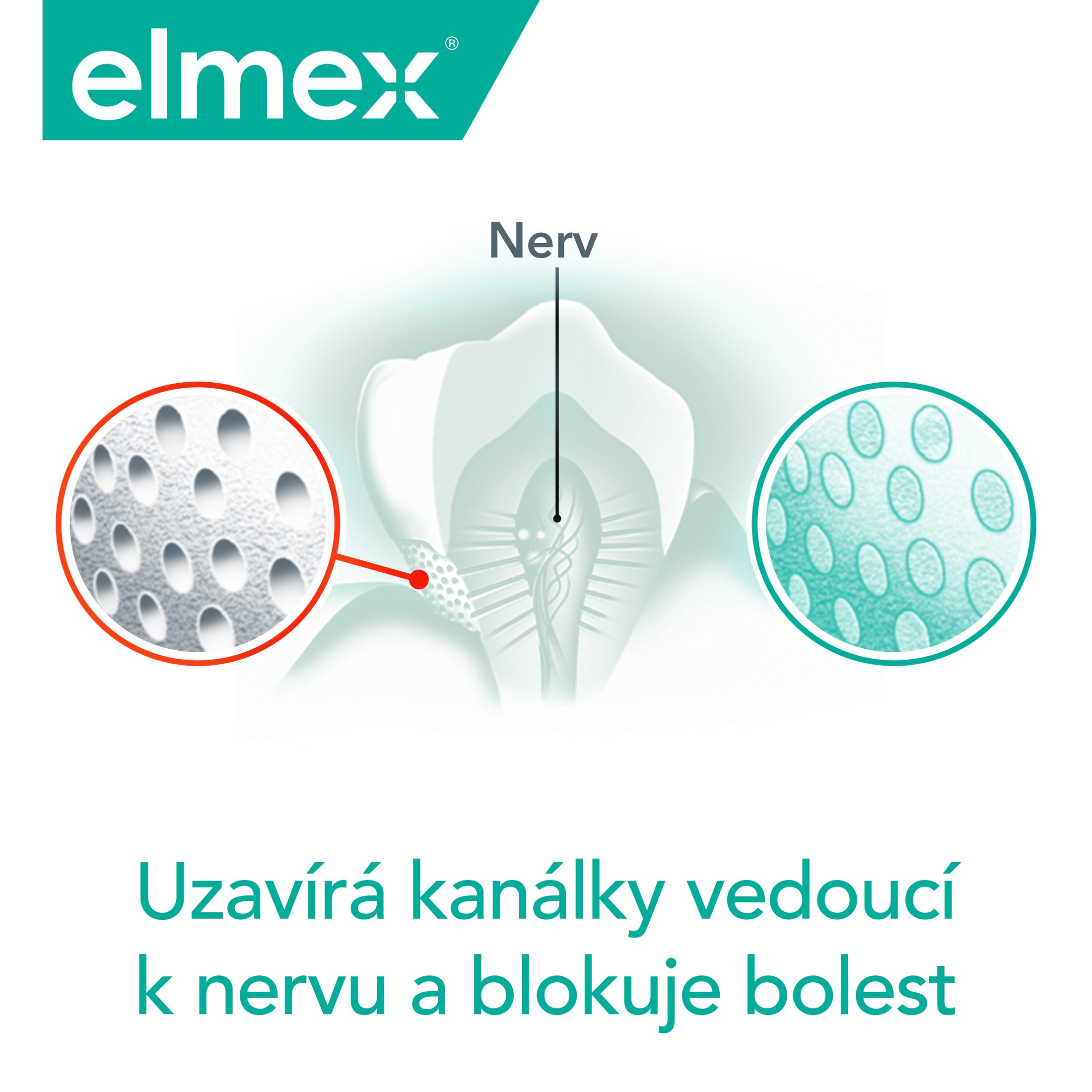 Elmex Sensitive Professional zubní pasta 20 ml