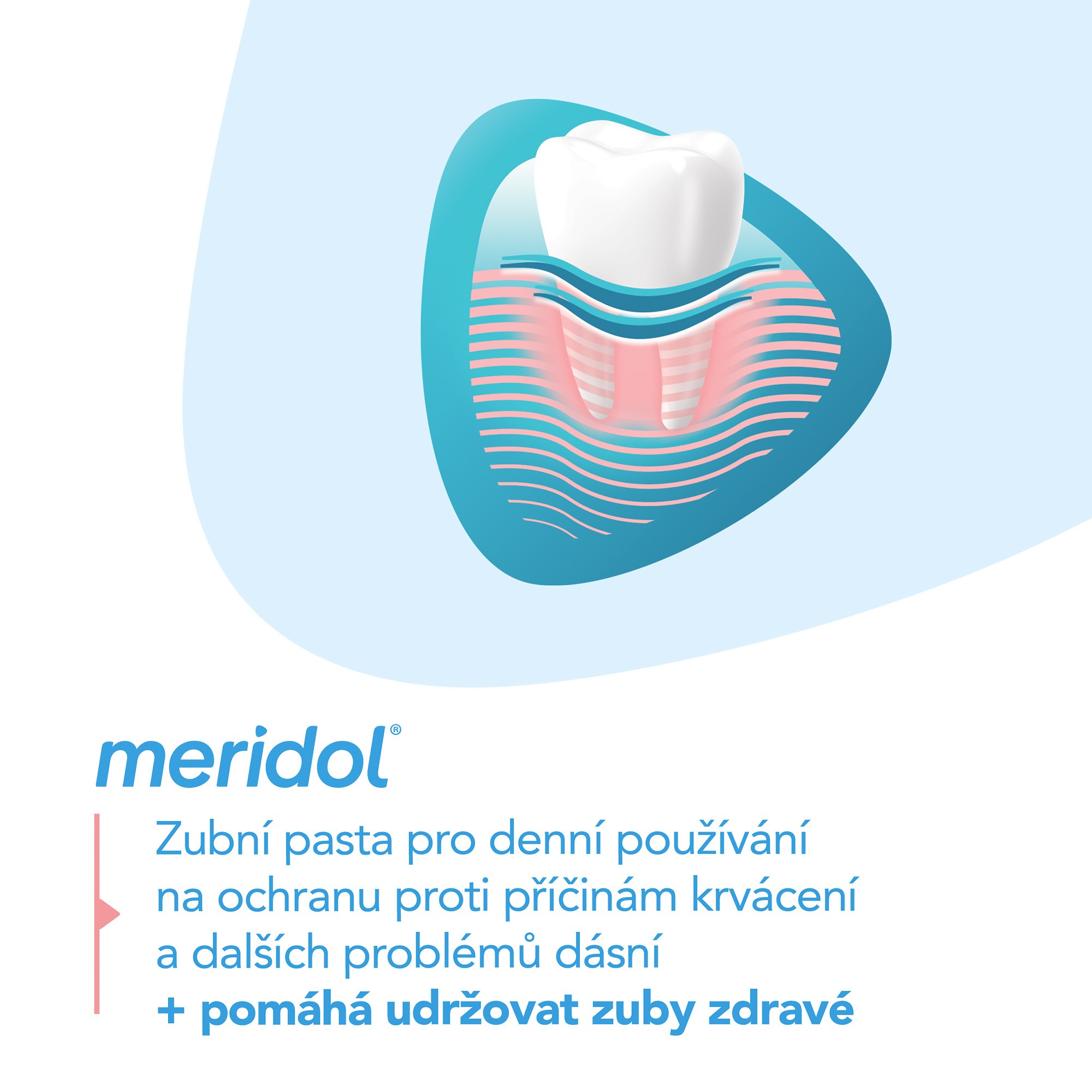 Meridol Gum protection zubní pasta 2x75 ml