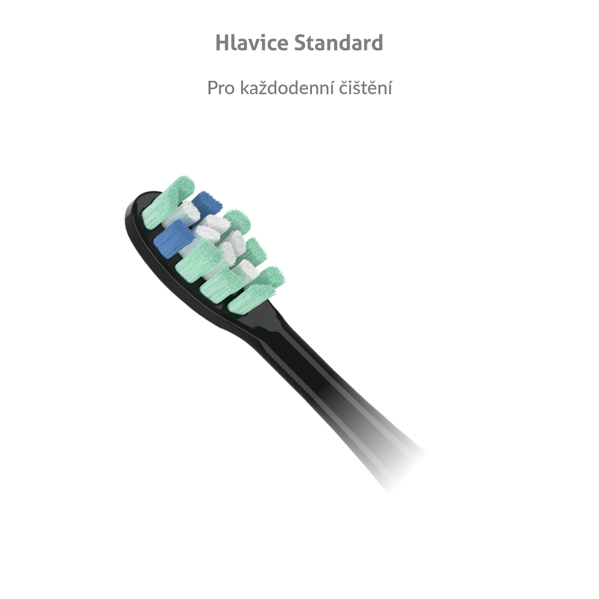 TrueLife SonicBrush Clean Series Standard Black náhradní hlavice 2 ks