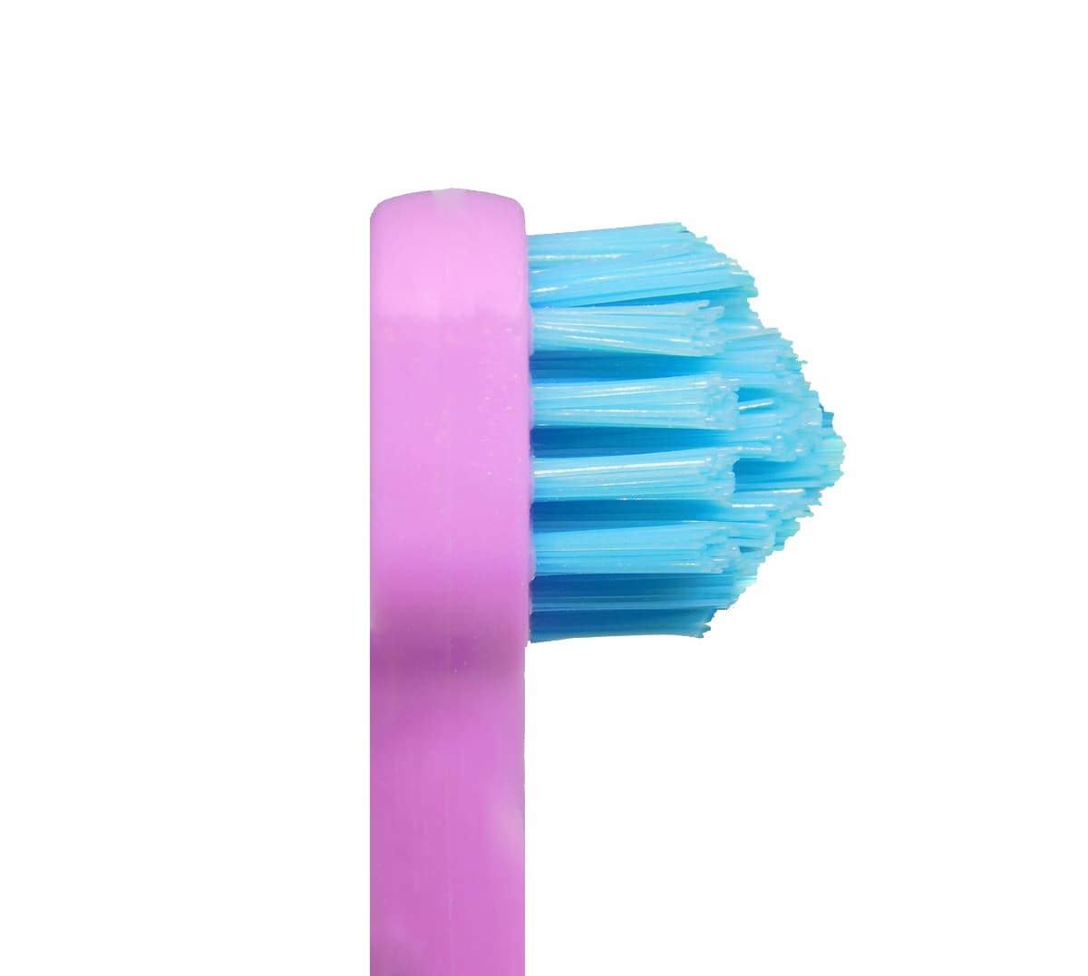 Splash Brush 170 zubní kartáček fialový