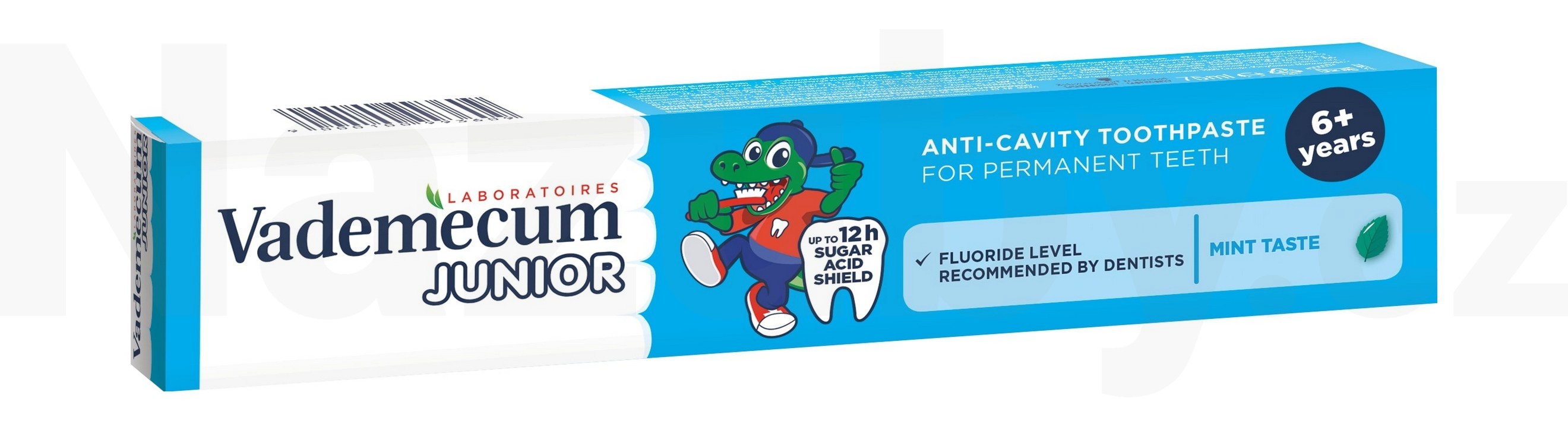 Vademecum Junior Mint 6+ dětská zubní pasta 75 ml